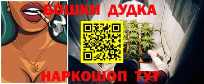 spice Абакан