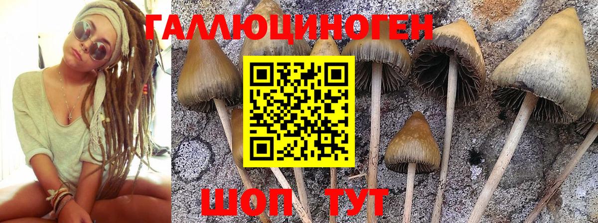 Алейск  Псилоцибиновые грибы ЛСД  Галлюциногенные грибы MAGIC MUSHROOMS  Вход с VPN 