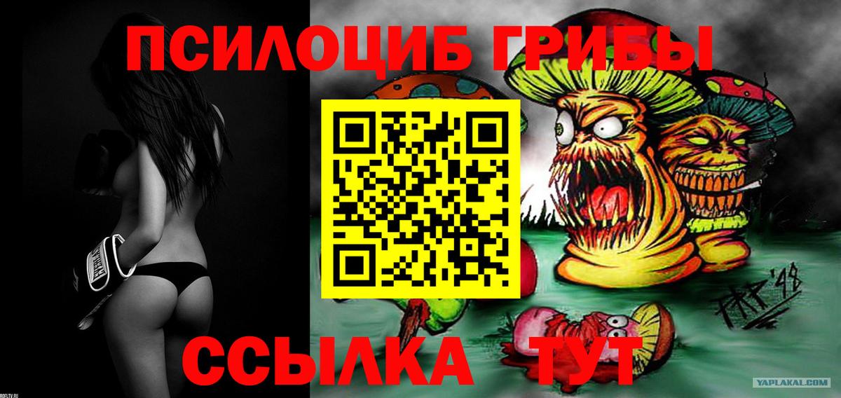 Псилоцибиновые грибы GOLDEN TEACHER Алейск